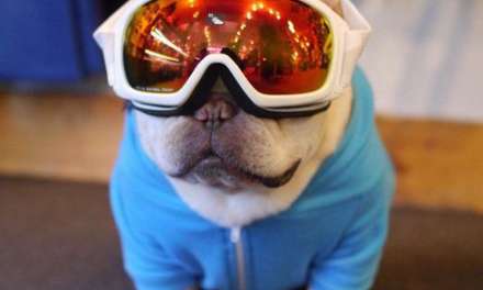 Getting ready for the slopes!