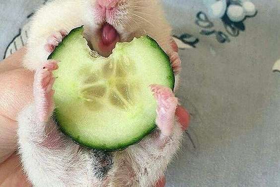 Oh Yummy Yummy