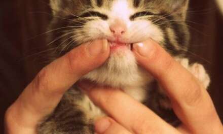 Smile :)