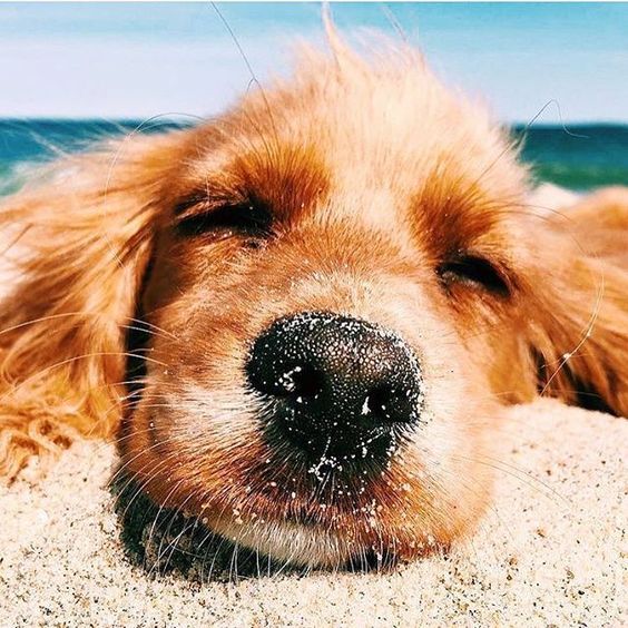 Sunbath on the beach!