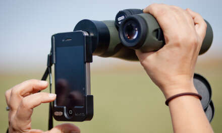 7 Best Binoculars For Bird Watching with Smart Phone Adaptor