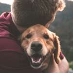 12 Best Dog Breeds for Emotional Support