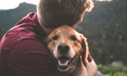 12 Best Dog Breeds for Emotional Support