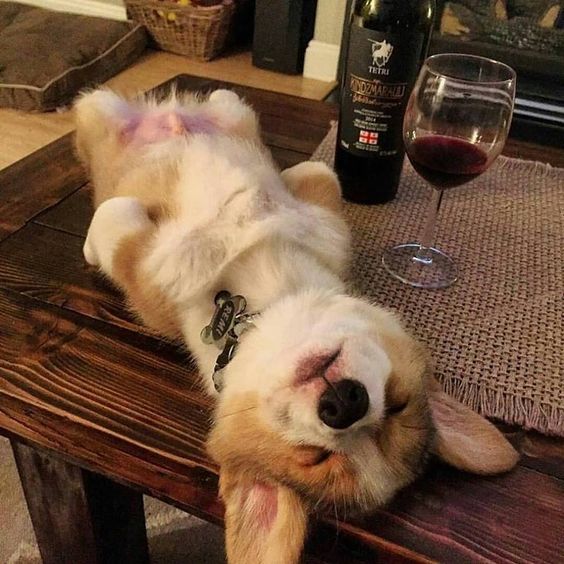 Someone had too much wine⁠
