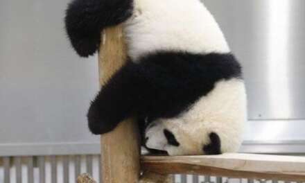 Monday Mood…