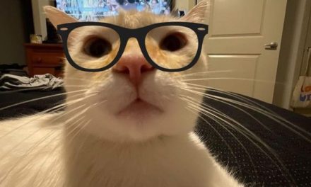 Professor Kitty!