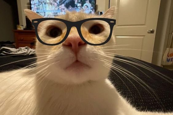 Professor Kitty!