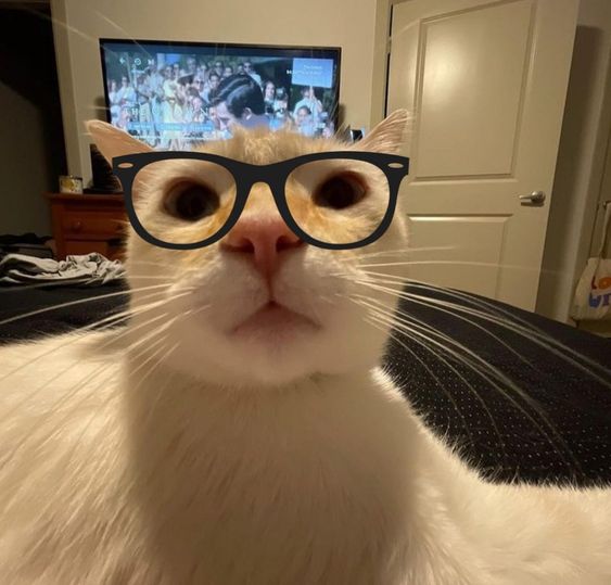 Professor Kitty!