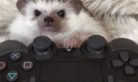 A Serious Gamer!